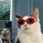 Avatar de Helena Tovar